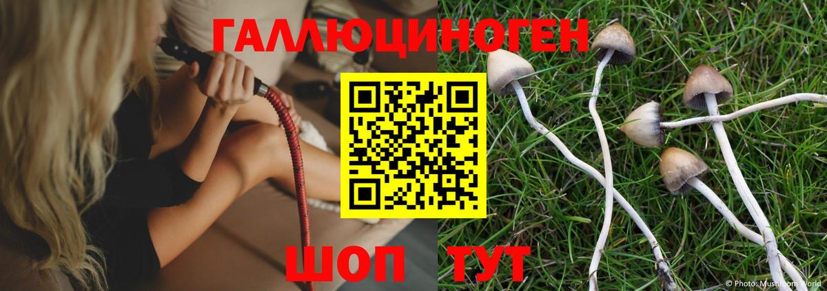 Кудымкар  Галлюциногенные грибы Psilocybine cubensis  Вход с VPN 