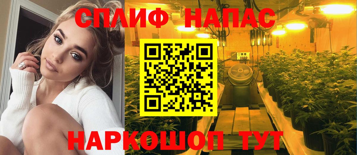 Кудымкар  МАРИХУАНА тримм  Вход с VPN  Бошки марихуана THC 21%  Шишки марихуана MAZAR  Шишки марихуана конопля 